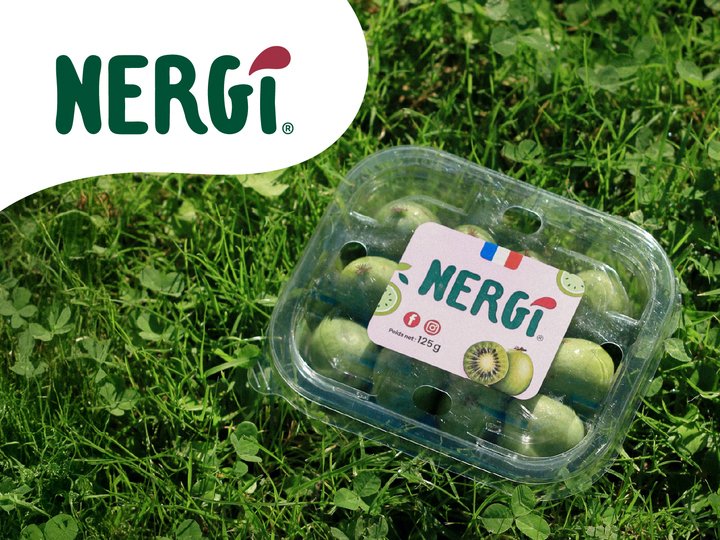 Charte graphique et supports de communication Nergi