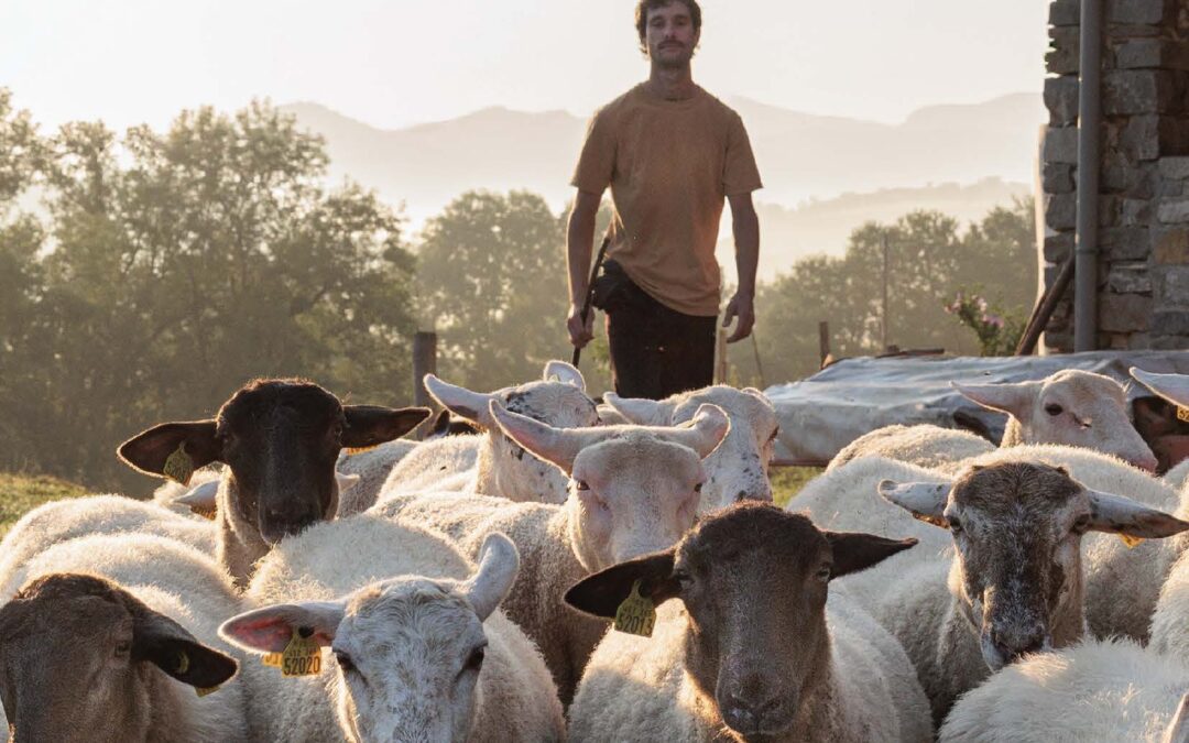 Magazine Pays Basque