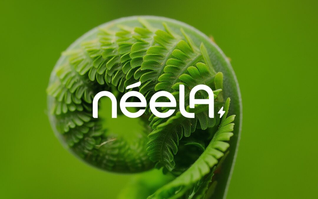 Stratégie/Identité de marque Néela