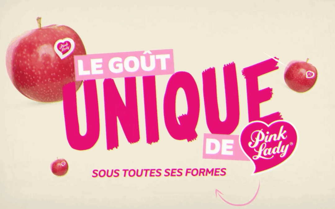 PINK LADY : OPERATION GOUT