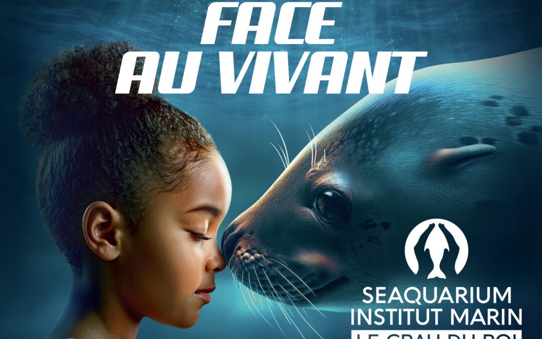 FACE AU VIVANT